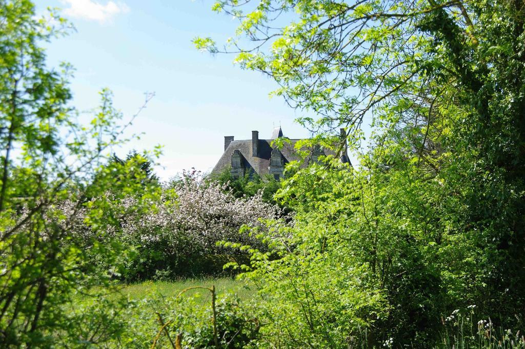 Hotel Chateau De Vermette La Chapelle-Gaudin Exterior foto