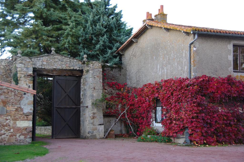 Hotel Chateau De Vermette La Chapelle-Gaudin Exterior foto